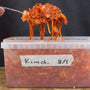 Hjemmelavet Kimchi